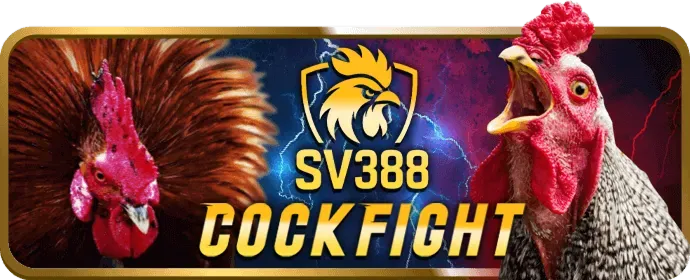 Đá gà trực tuyến dg88 win